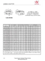 JIC Fireann NÓ BSP Adapter Graí